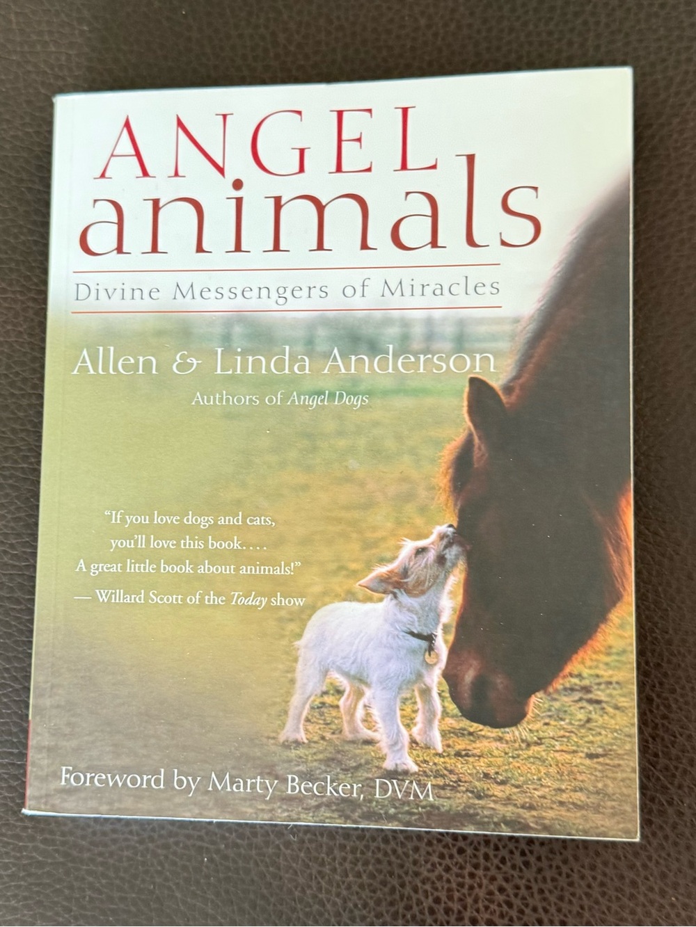 Angel Animals Book - Allen & Linda Anderson